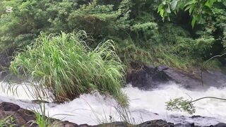 Wild Sex in Jungle at the Waterfall