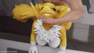 Sexy Furry Digimon Fucking - Compilation